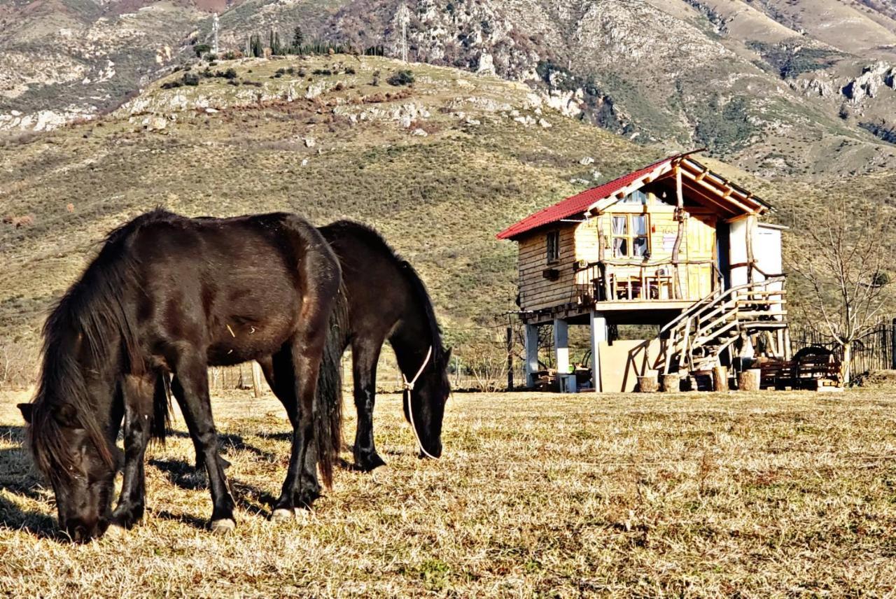 Hotel Life On The Farm à Nepravishte Extérieur photo