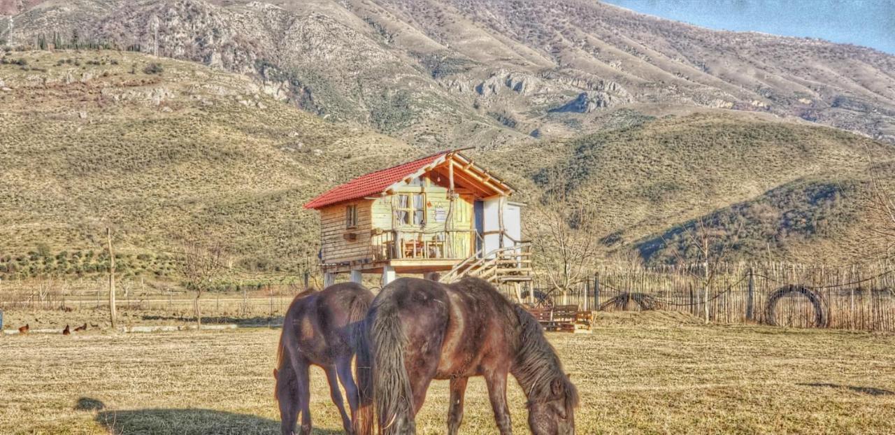 Hotel Life On The Farm à Nepravishte Extérieur photo